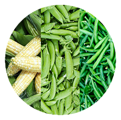 sweet-corn-snap-peas-green-beans